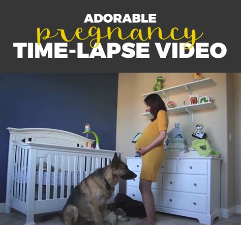 preggo webcam|Adorable Pregnancy Time Lapse